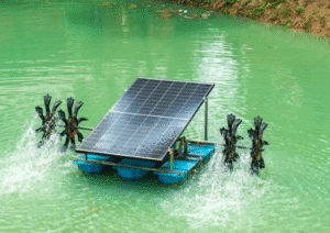 Harnessing Solar Power
