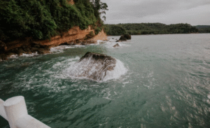 Protecting the Environment